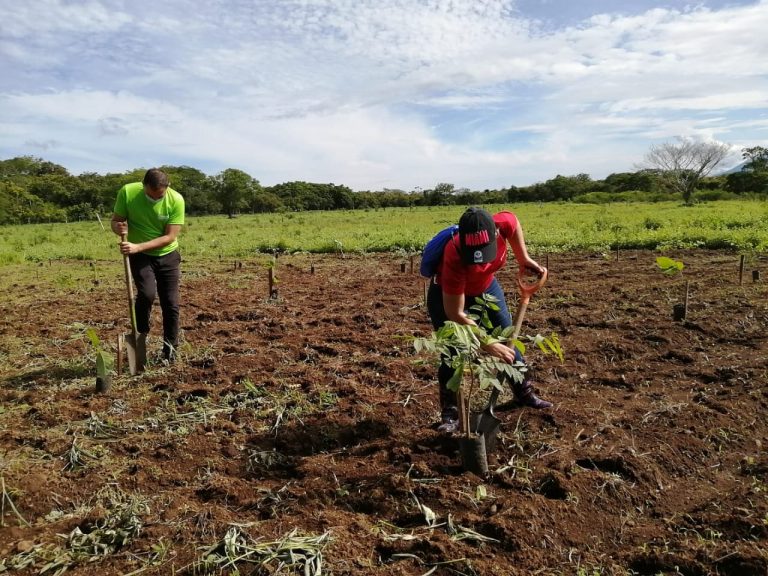 Aeropuerto Daniel Oduber reforestó 5000 metros cuadrados de bosque dentro del Área de Conservación Guanacaste