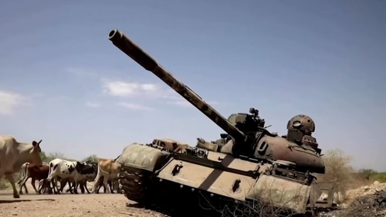 Fuerzas de Tigray retoman el control del Estado piden ayuda humanitaria