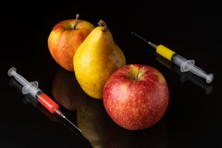El consumo de alimentos transgénicos presenta opiniones polarizadas y paradójica