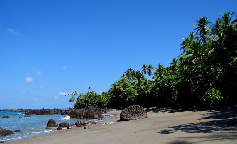 Una señal de esperanza para el Parque Nacional Corcovado