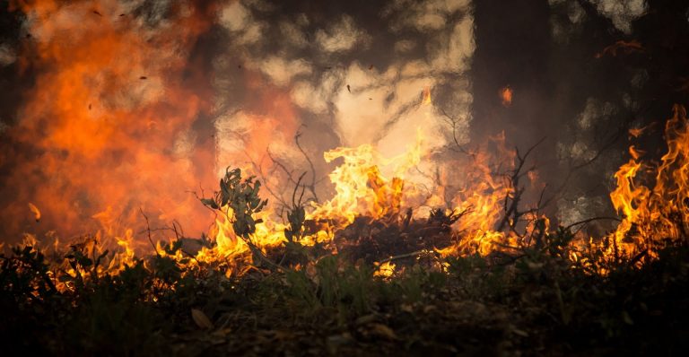 Variaciones climáticas extremas no dan tregua: incendios en Siberia