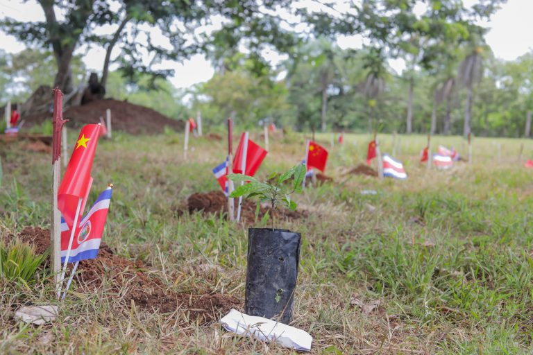 China dona 2 mil árboles para reforestar la Zona Norte costarricense