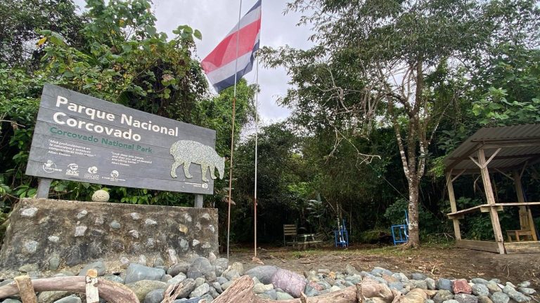 Parques nacionales y turismo