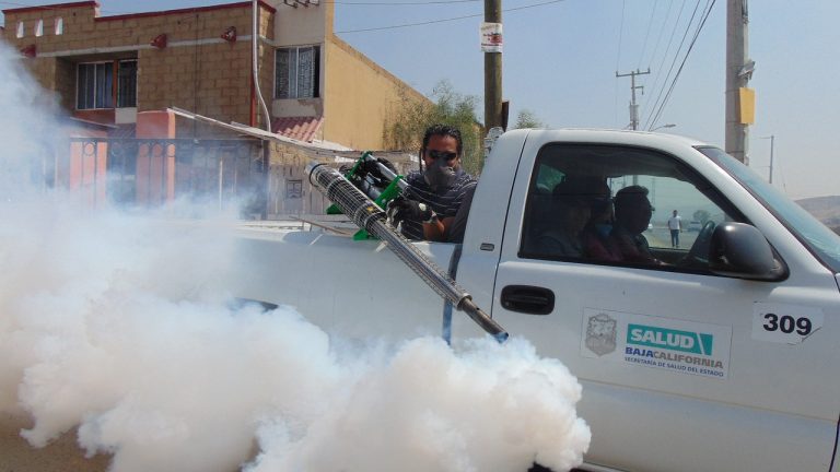 Medidas de seguridad para disminuir el potencial riesgo de los insecticidas