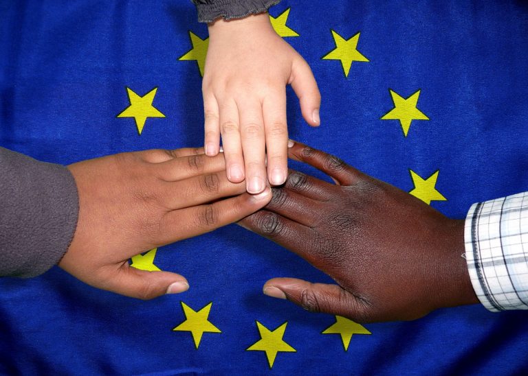 How are International Organizations helping and contributing with the protection of the rights of migrants?