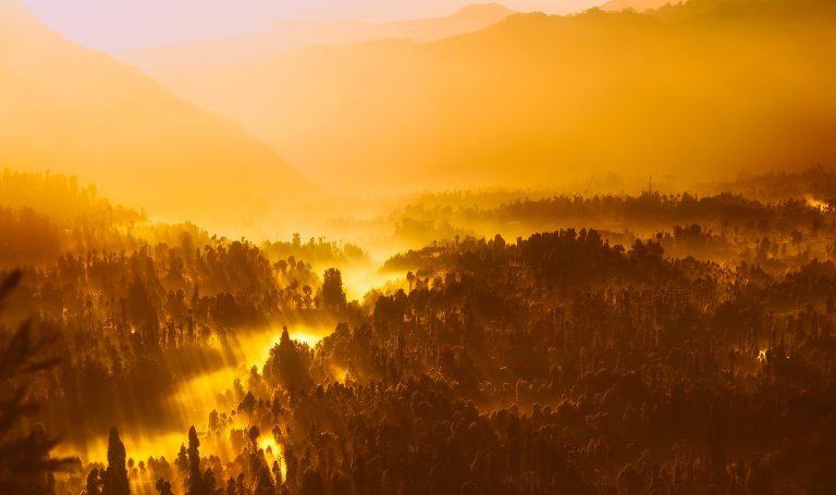 ¿Quién paga lo que respiramos?