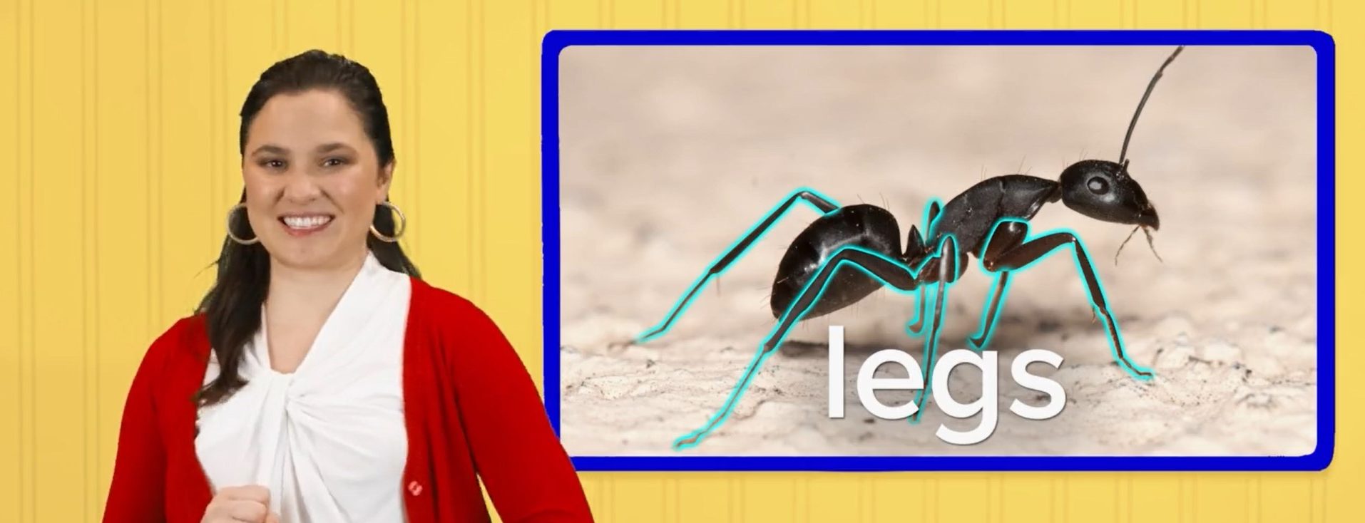 Imagen principal del artículo: Presentan programa de TV para promover el aprendizaje gratuito del inglés en niños de 3 a 11 años