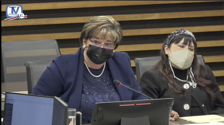 Diputada revive el tema del aborto y bloquea reforma a Ley General de Salud