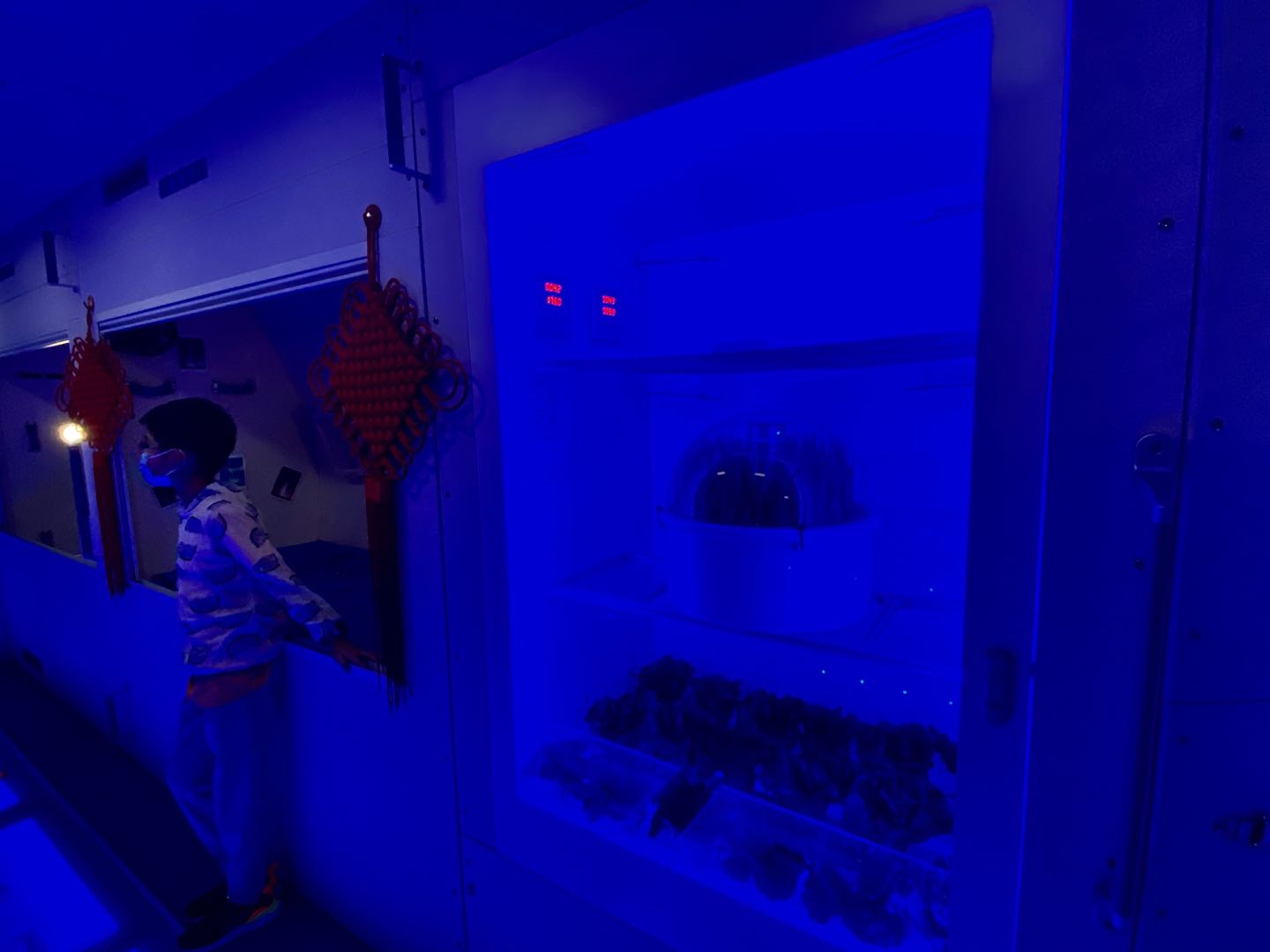 Imagen principal del artículo: Hidroponía: un método de jardinería espacial