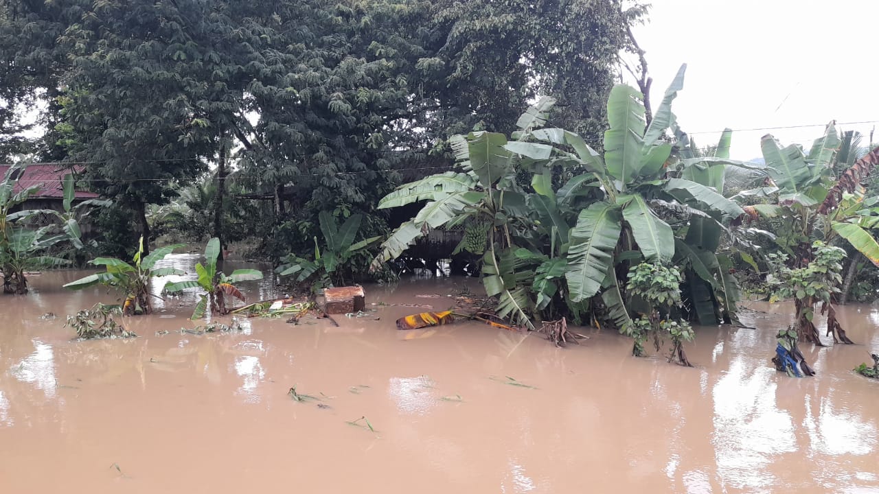 Imagen principal del artículo: Campaña busca brindar una mano solidaria a más de 200 familias en Sixaola afectadas por las lluvias