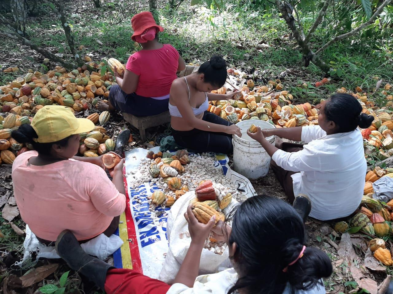 Imagen principal del artículo: MINAE otorga Bandera Azul a asociación de mujeres indígenas por sus actividades ancestrales sostenibles