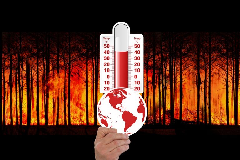 El problema del calentamiento global, las causas o consecuencias de un daño irreparable