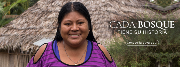 Organismos a favor del ambiente lanzan incentivo económico para preservar los bosques en Costa Rica