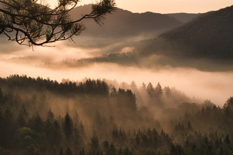 Pagos Basados en Resultados para la protección ambiental