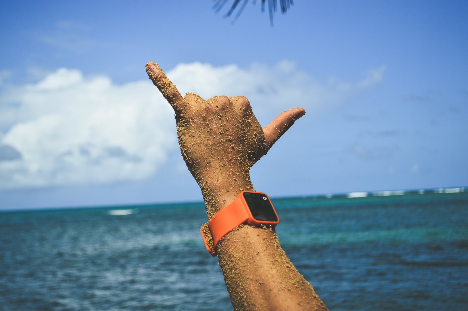 Imagen principal del artículo: Ventajas y desventajas de los dispositivos electrónicos llamados "wearables"