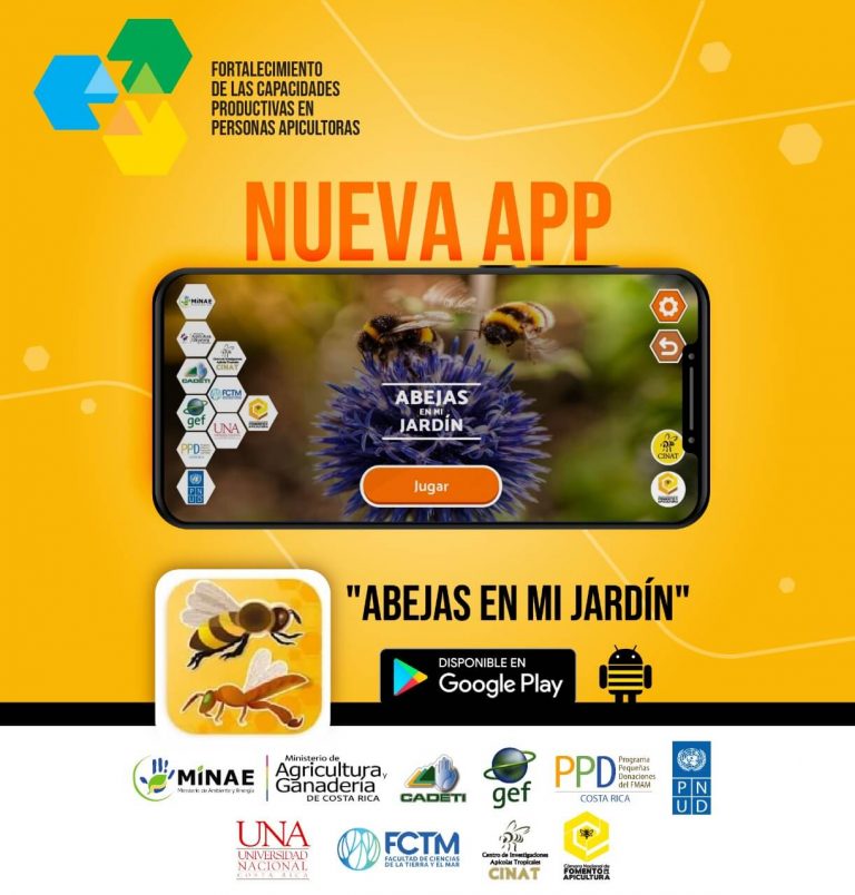 Nueva App busca concientizar a niños sobre importancia de las abejas en el ecosistema