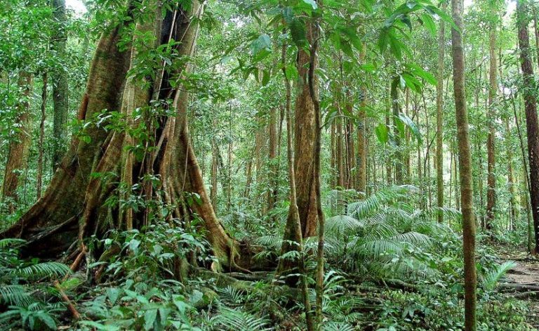 Australia devuelve más de 160mil hectáreas de tierra a aborígenes tras un acuerdo histórico