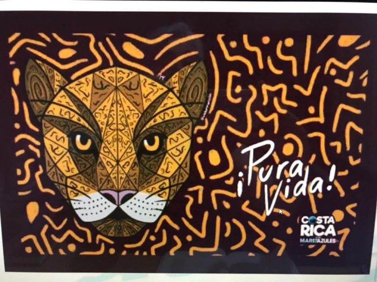 Arte digital sobre la fauna costarricense engrandece el significado del Pura Vida