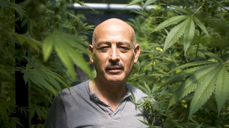 En firme condena de 8 años de cárcel contra abogado Mario Cedas por cultivo de marihuana