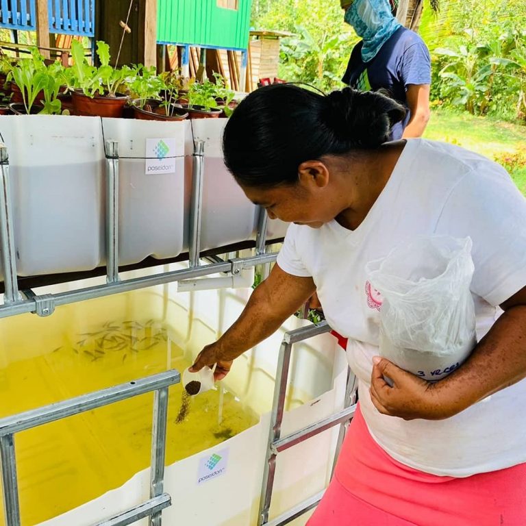 Iniciativa permite a territorios indígenas producir acuicultura orgánica a partir de agua de lluvia