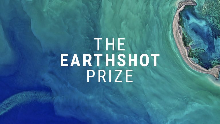 Paradoja Earthshot Prize y desincentivos para la conservación voluntaria