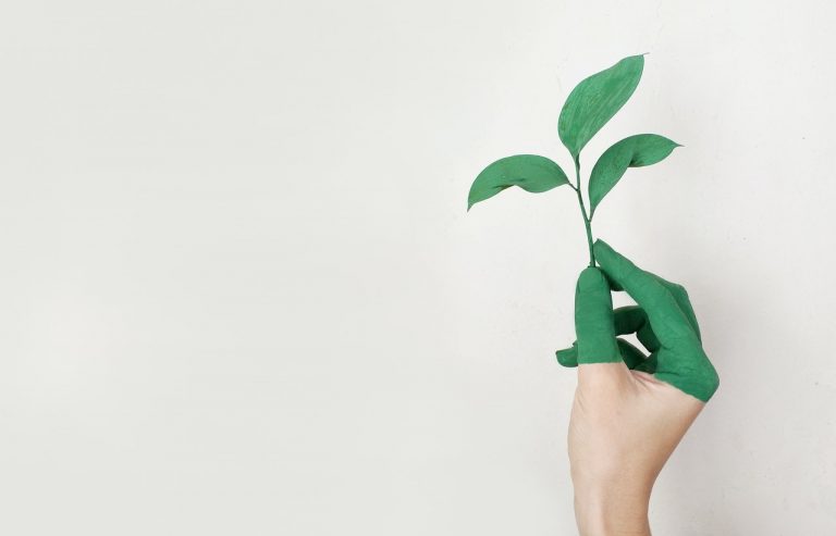 La autonomía ecológica: la forma creativa de impactar