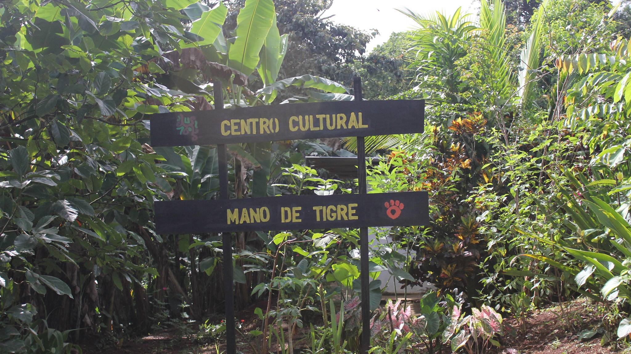 Imagen principal del artículo: Lideresas indígenas exigen renuncia de Wálter Céspedes