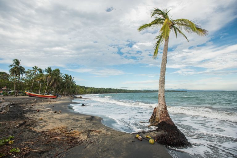 Caribe Sur enfrenta la erosión costera en una carrera contra el cambio climático