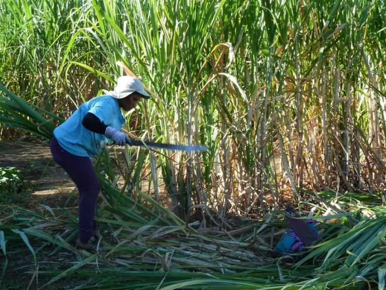 Primer resumen de política climática en Costa Rica enfatiza en casos de Enfermedad Renal Crónica y su relación con altas temperaturas