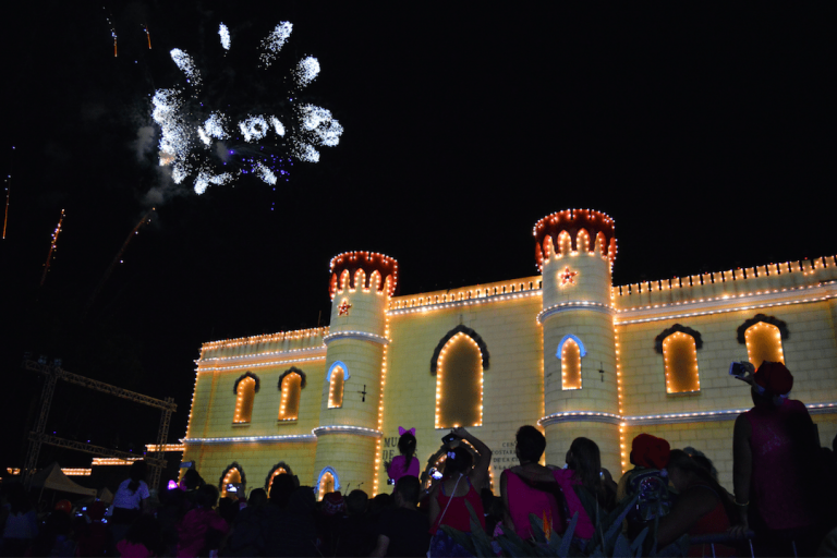 Diputada propone prohibir la pirotecnia en Costa Rica