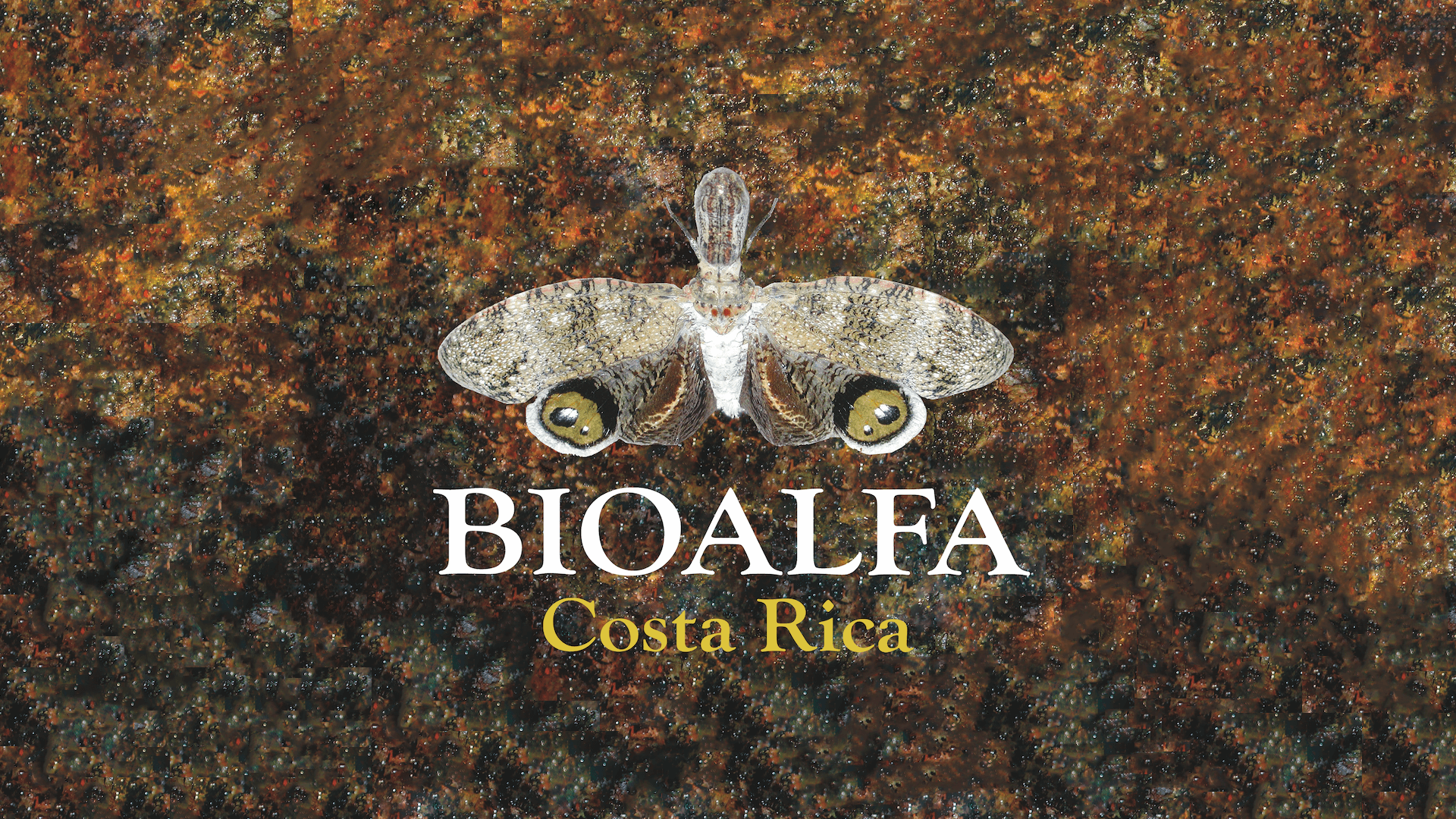 Imagen principal del artículo: Donan $1 millón de dólares a iniciativa para reforzar inventario de la biodiversidad silvestre en Costa Rica