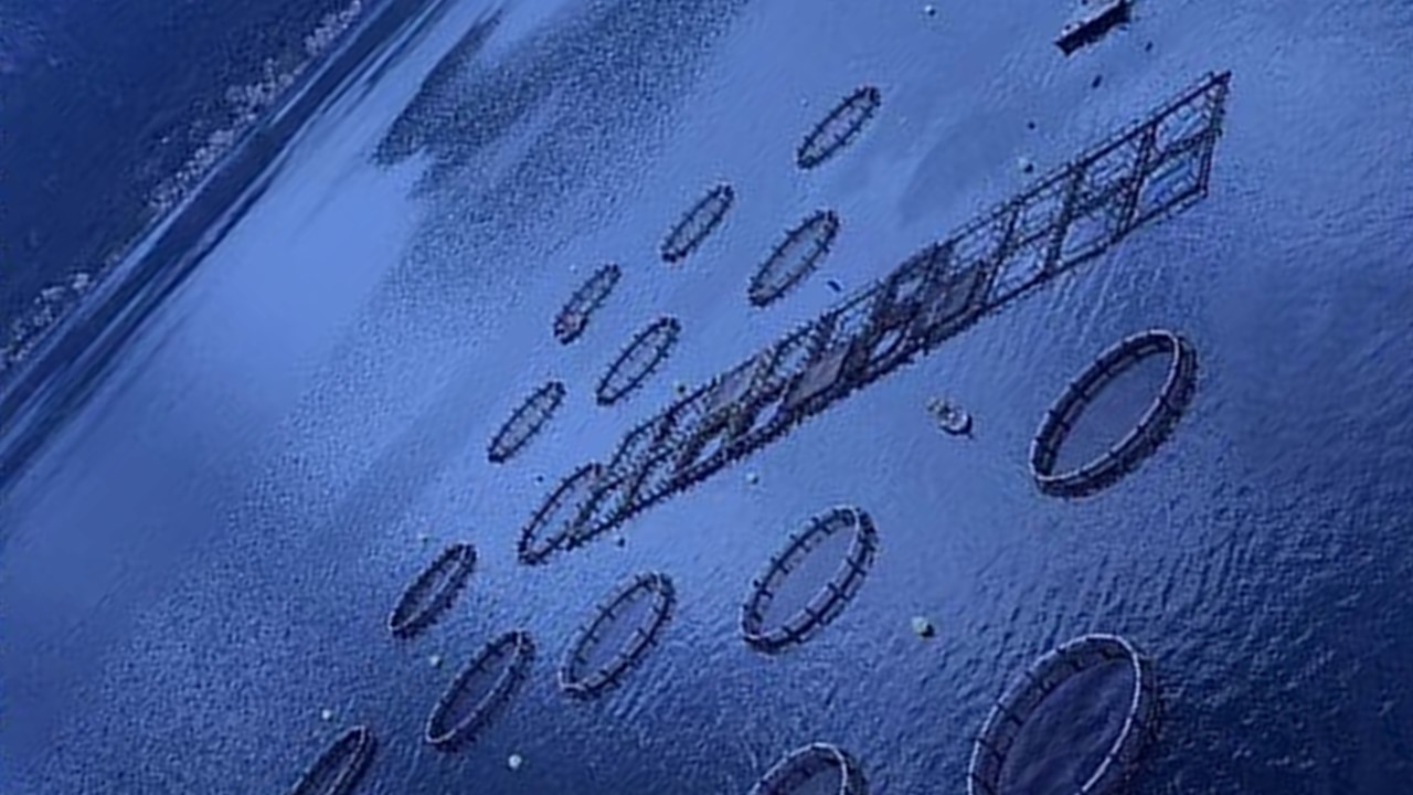 Imagen principal del artículo: De Corea a Costa Rica: las dificultades de implementar tecnologías innovadoras para producir suficientes alimentos para las comunidades