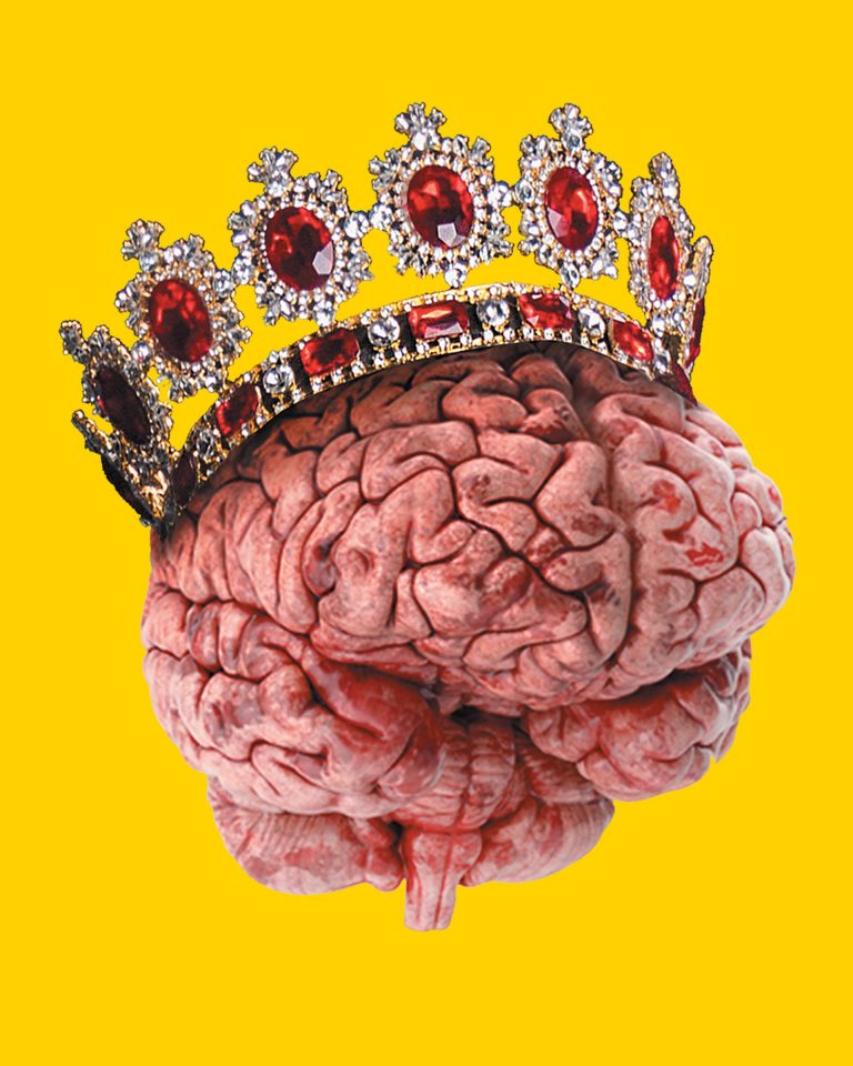Mente y Cerebro, un desafío de la investigación científica