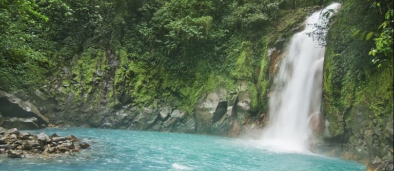 Invitan a personas mayores de 10 años a participar en concurso virtual sobre educación ambiental
