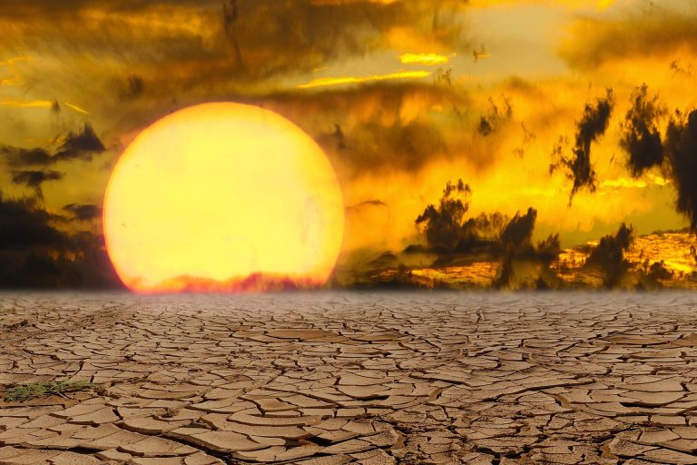 2021 fue el quinto año más caluroso del que haya registro en el mundo