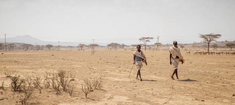 13 millones de personas en riesgo de hambruna en África