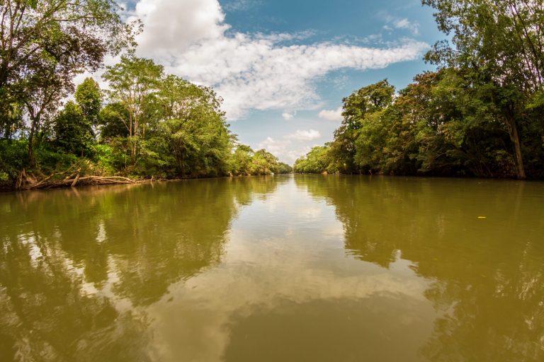 Sala IV da dos meses al Ejecutivo para reglamentar ley de protección al río Sarapiquí