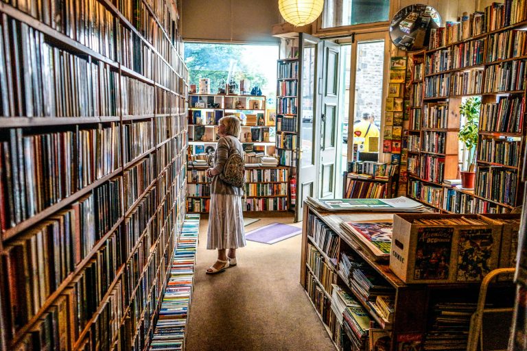 Keeping the literary spirit alive in the age of translations assisted by technology