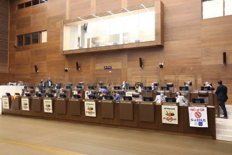 Plenario da primer debate a creación del Sistema Nacional de Cuidados y Apoyos para adultos en situación de dependencia