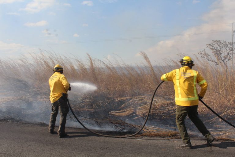 Incendios consumen 71 hectáreas entre el Parque Nacional Santa Rosa y el Refugio de Vida Silvestre Iguanita