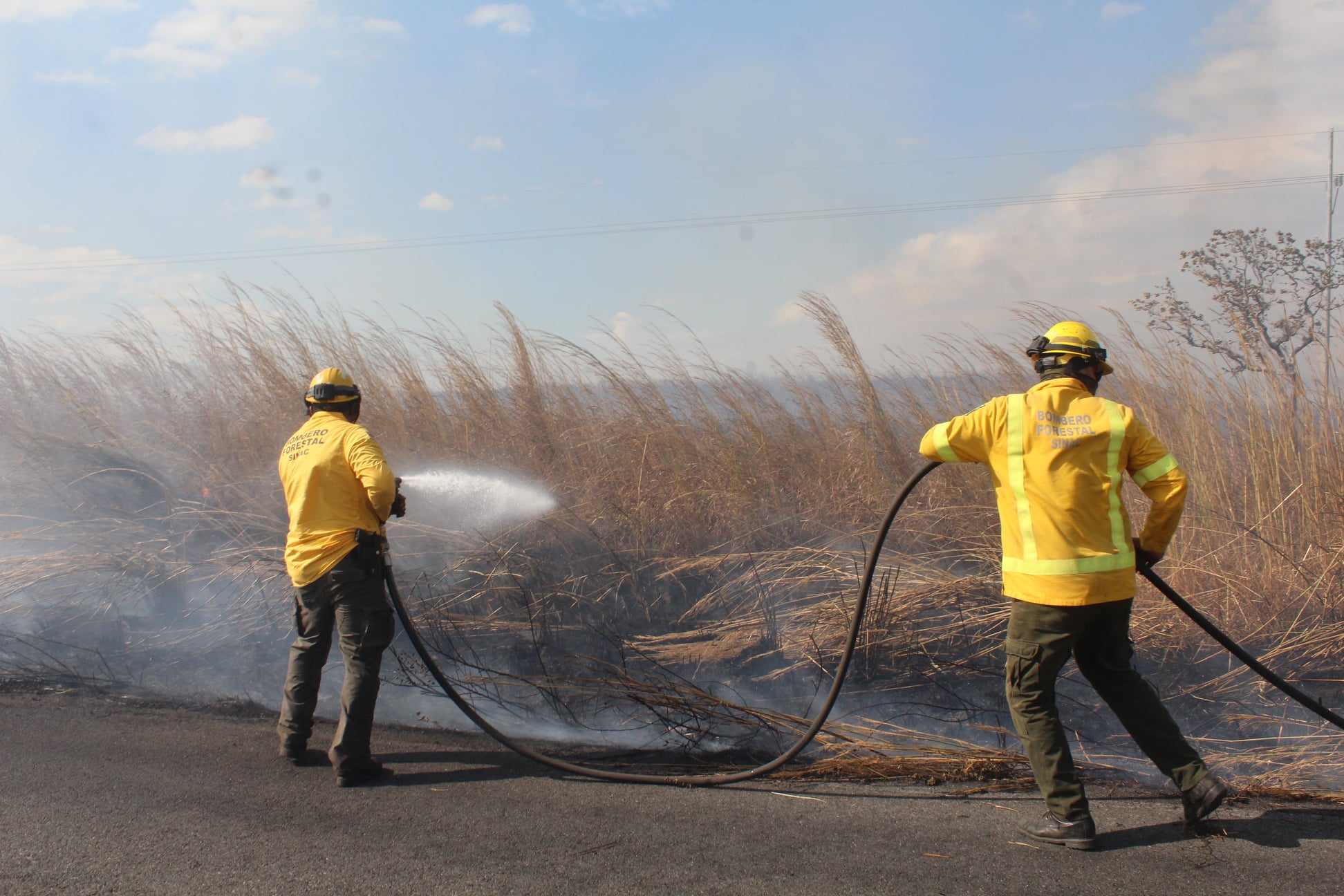 Imagen principal del artículo: Incendios consumen 71 hectáreas entre el Parque Nacional Santa Rosa y el Refugio de Vida Silvestre Iguanita