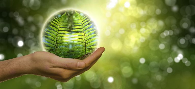 La Costa Rica verde del futuro que se construye en el presente