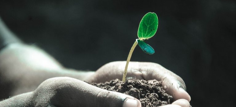 Nuestra lucha: un futuro compartido
