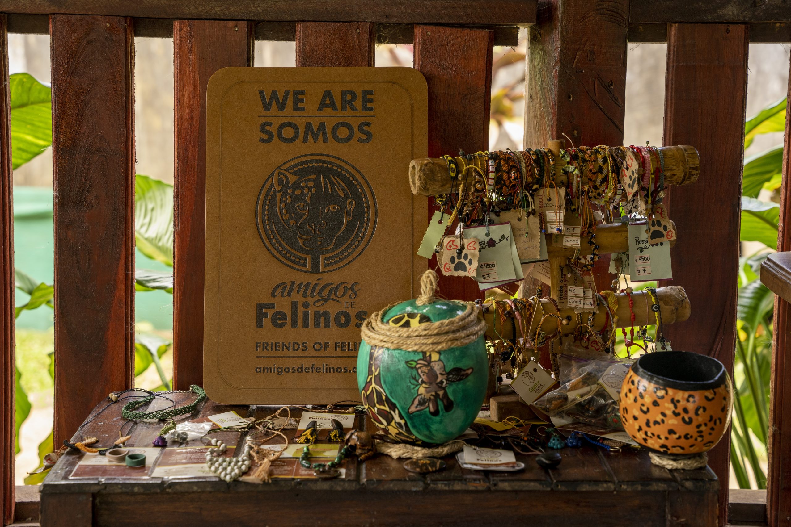 Imagen principal del artículo: Concurso busca a comunidades que quieran surgir de mano de jaguares y pumas