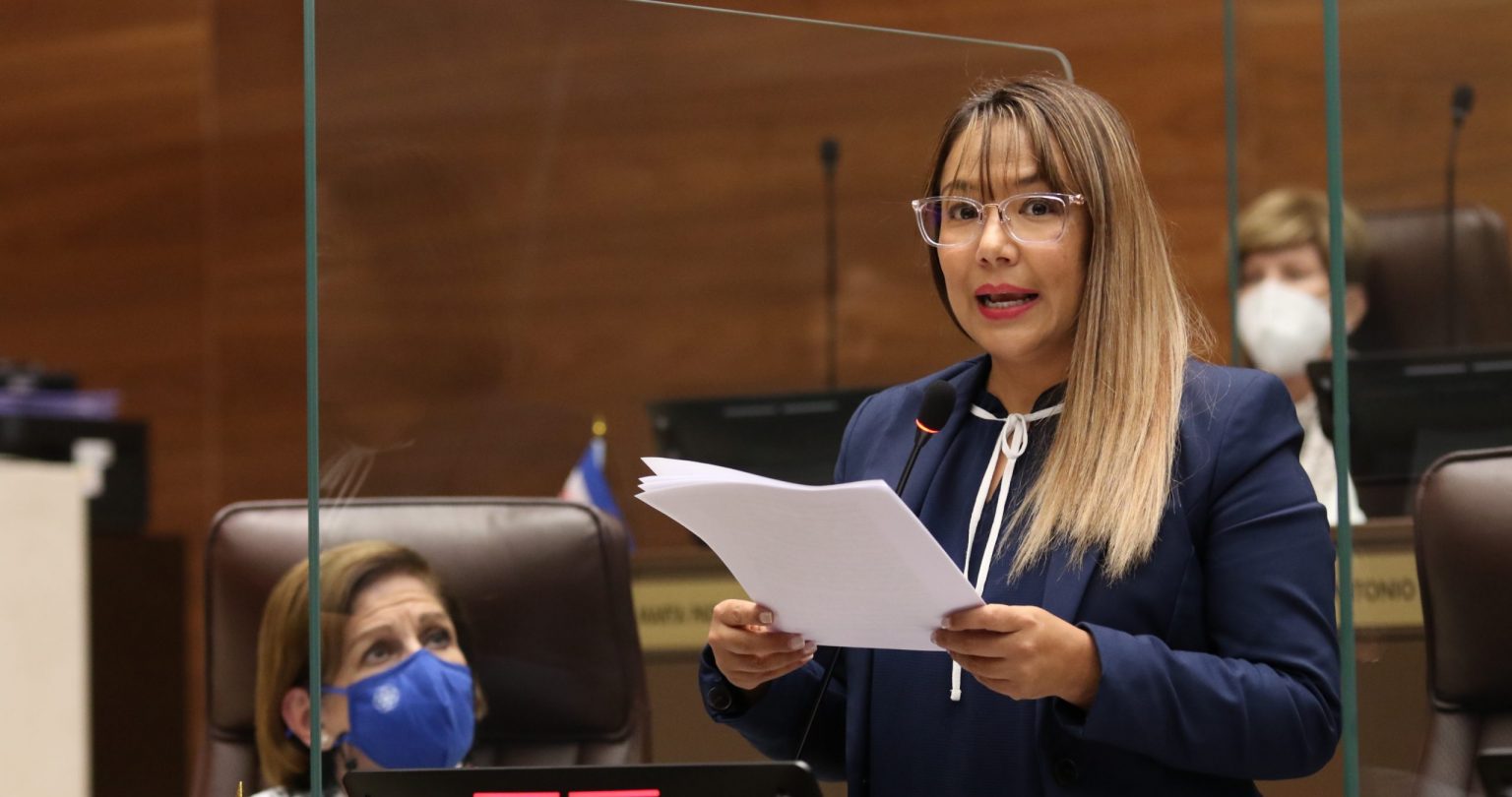 Imagen principal del artículo: Diputada Paola Nájera Abarca pide retomar el teletrabajo en todo el sector público