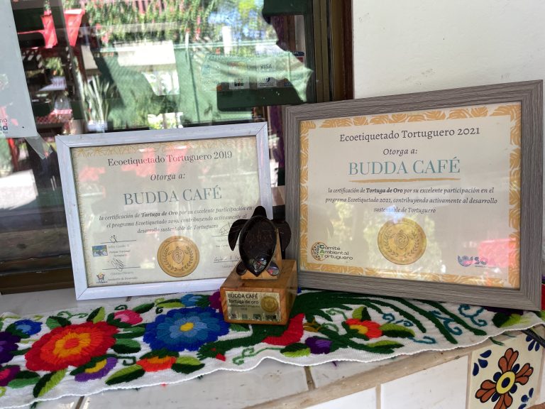 Hoteles y comercios de Tortuguero recibirán premio por sus acciones ambientalistas