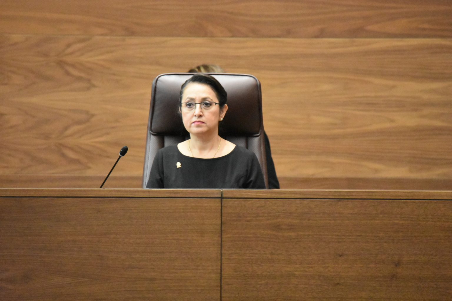 Imagen principal del artículo: Diputada Luz Mary Alpízar registra un 3.5% de votos disidentes con su fracción