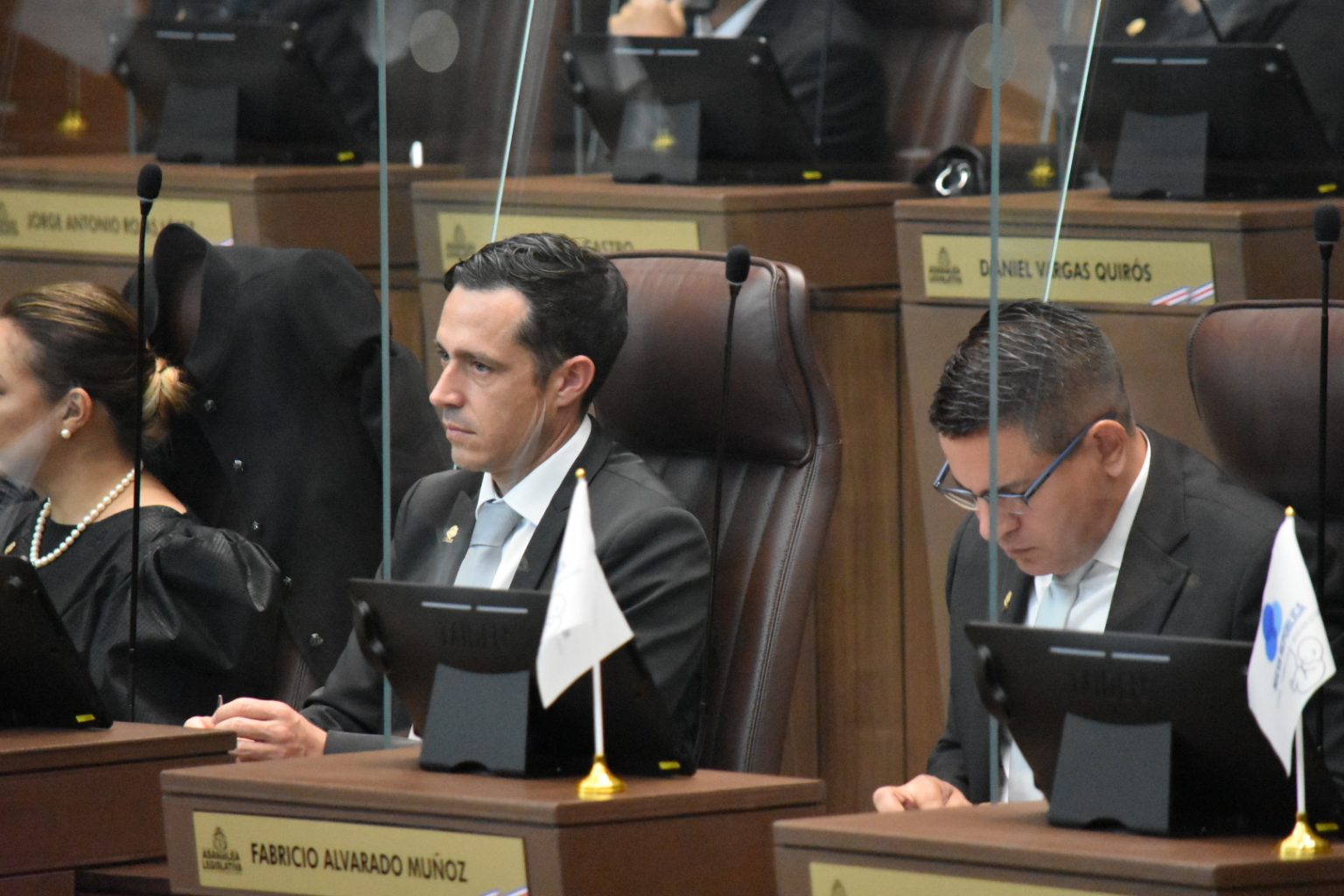Imagen principal del artículo: Diputado oficialista propone establecer requisitos para declaratorias de símbolos nacionales