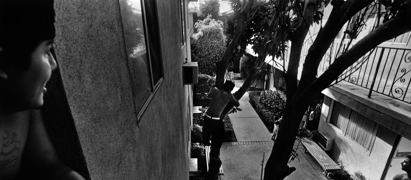 Imagen principal del artículo: En El Salvador “se trata de meterse en la pandilla o comer m***da toda la vida”