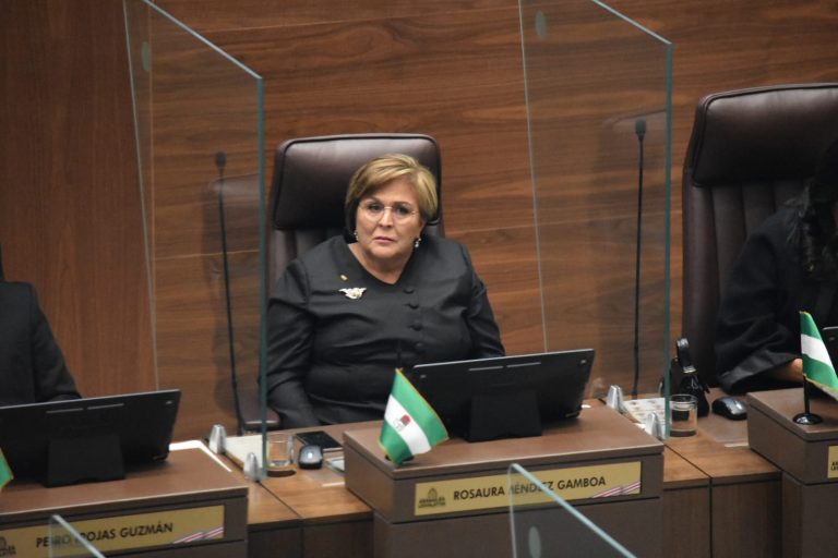 PLN y PLP se dejan las secretarías suplentes del Directorio